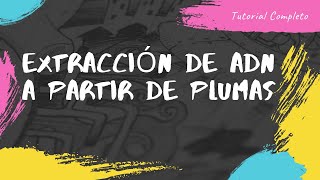 Extracción De Adn A Partir De Plumas