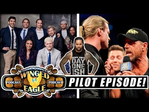 Jimmy Uso Arrested AGAIN | Ziggler vs HBK? | SummerSlam Preview | AEW TV Guide