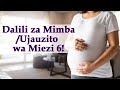 Dalili Za Mimba Ya Miezi Sita 6 Dalili Za Mimba Ujauzito Wa Miezi Sita Dalili Za Mimba Ya Miezi Sita 6 Dalili Za Mimba Ujauzito Wa Miezi Sita