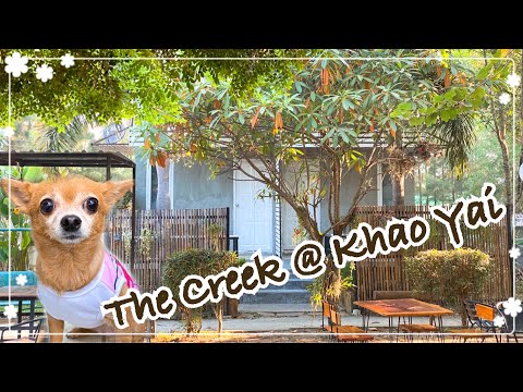 รีวิวที่พักราคาถูก The Creek เขาใหญ่ | MintIce Diary