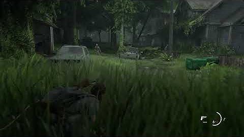 The Last of us 2 - Hillcrest showdown (No dogs hurt/survivor difficulty)