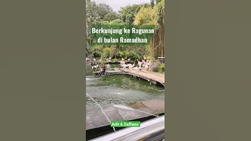 #Shorts #ragunan #animals ajak anak melihat berbagai macam binatang untuk edukasi...