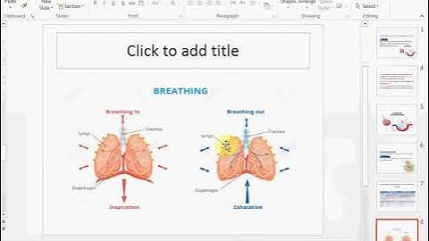Unit 1 Lesson 2 Respiratory system science - primary 4