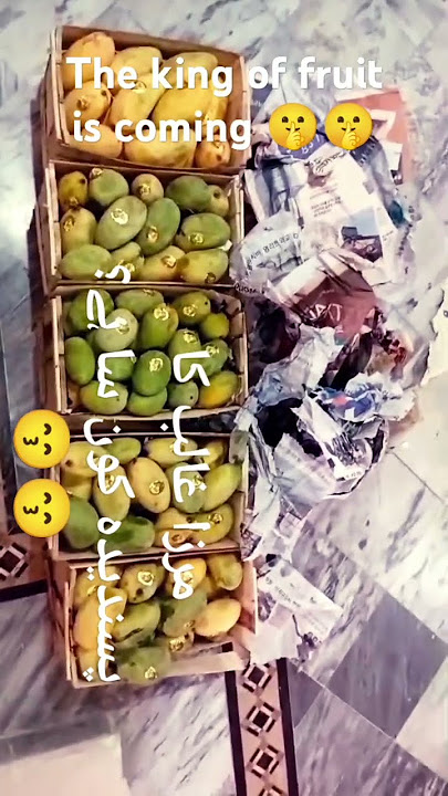 MIRZA GALIB KA PASANDIDAH HE ?? 🤫🤫#MANGO #LIVE #subscribe #SHORT