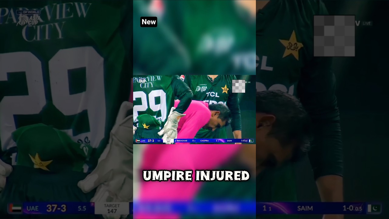 CRICKET Umpire Takes a Hard Hit During Live Match! 