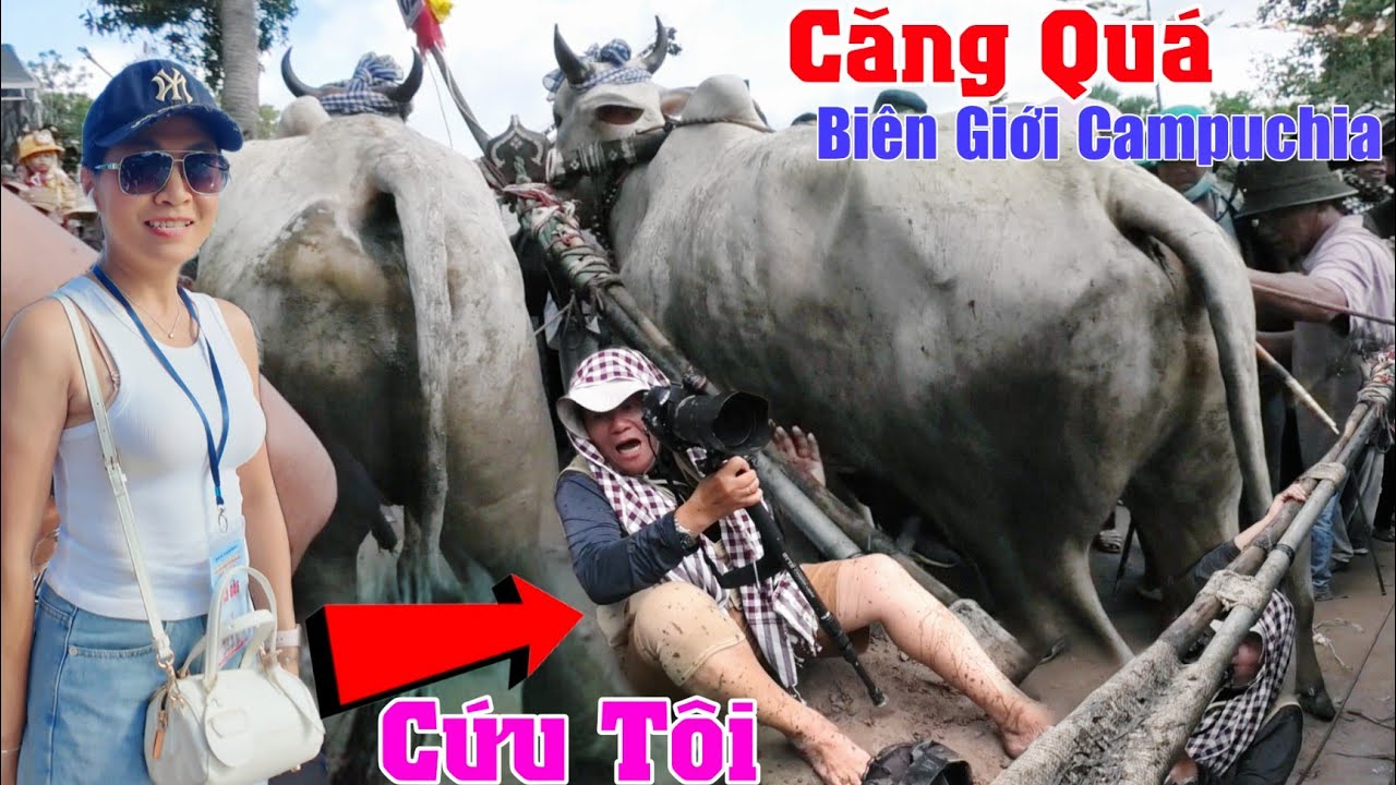 Dân chạy tán loạn CĂNG quá Biên giới Campuchia, lễ hội đua bò chùa rô 2025