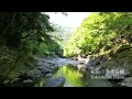 【徳島県三好市】日本三大秘境の伝統と神秘/祖谷のかずら橋　Iya Vine Bridge: Tradition and mystery in a secluded region
