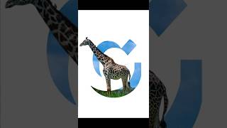 Canva tutorial : Create This Creative Letter Poster Design in 60 Seconds!