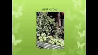Build a Garden - PowerPoint presentation