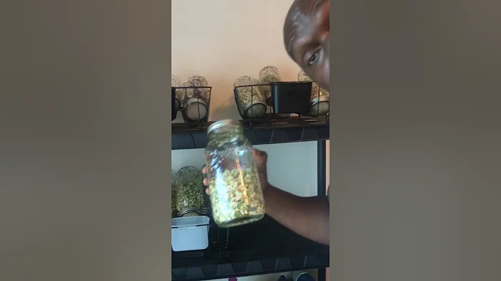 How To Grow Sprouts 101