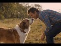 Capture de la vidéo Phillip Phillips - Gone, Gone, Gone(From The Movie A Dog's Journey)