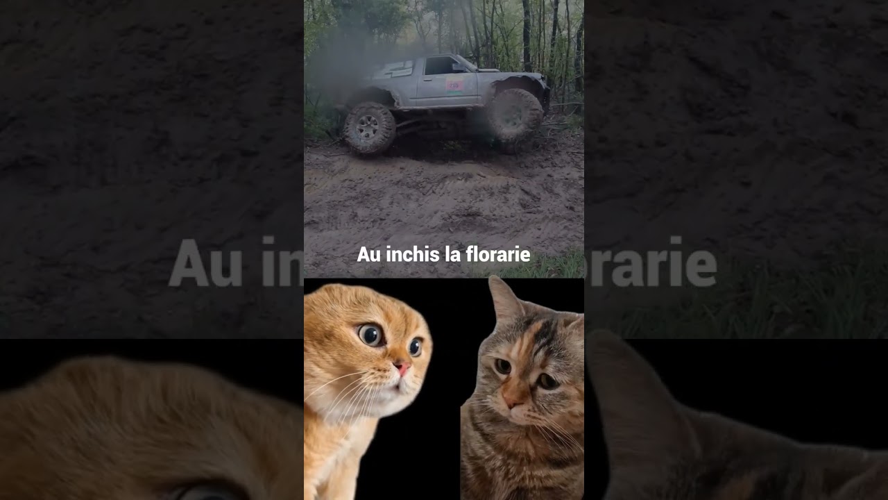 Ce faceti de Dragobete? #offroad #offroad4x4 #noroi #masina #crash #offroadromania