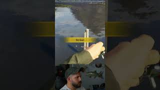 Catching Bass OFF A BRIDGE in Call of the Wild: The Angler!