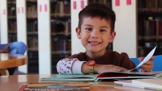 San Antonio Public Library PSA