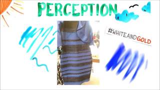 Klik - Informational - What Colour Is This Dress Solved With Science