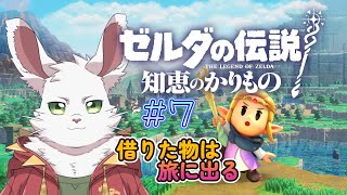 知恵より武闘派『ゼルダの伝説 知恵のかりもの』 #7