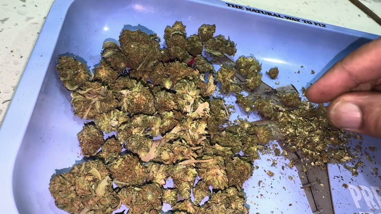 🚨 BaySmokes Outdoor Runts Review: The First Strain I’m Telling You to AVOID! 😤