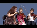 How to play the violin