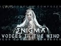 Cynosure  enigma ii voices in the wind new age music 2022 2k