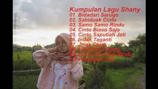 Kumpulan Lagu Shany Lagu Minang