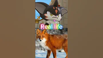 Monkart Real Life Videoclip Myvideo Foryou Youtubeshorts 