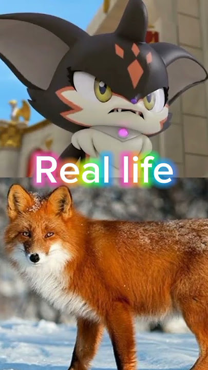 #monkart _ real life  #videoclip  #myvideo  #foryou  #youtubeshorts
