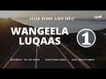Wangeela Luqaas Boqonnaa 1 | Afaan Oromo Audio Bible | Oromo Gospel Song 2021 | Lucas chapter 1