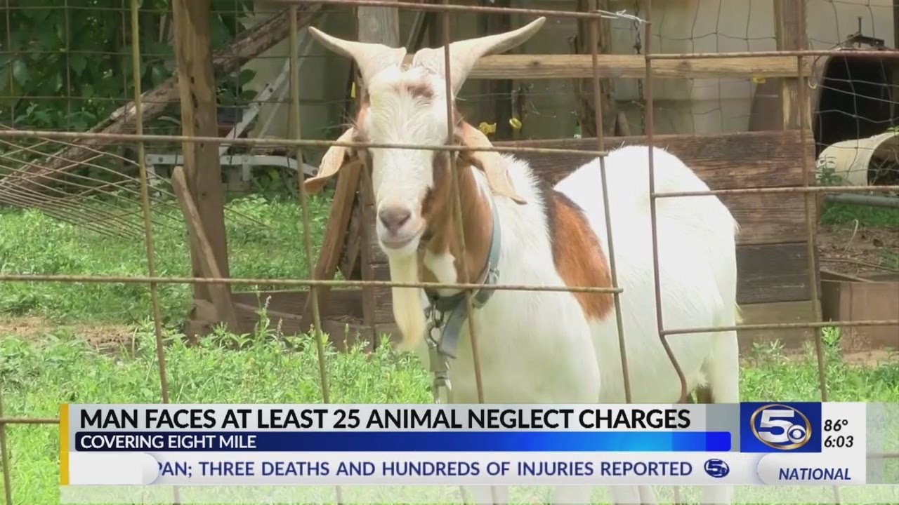 Man faces 25 animal neglect charges - YouTube