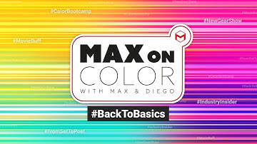 Max on Color | Magic Bullet Looks 101: A Fun and Easy Guide