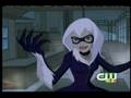 Spectacular Spider-Man Enter the Black Cat