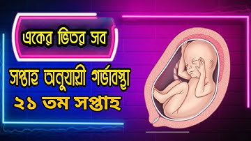 ২১ তম সপ্তাহের সবকিছু | সপ্তাহ অনুযায়ী গর্ভাবস্থা || Pregnancy week by week