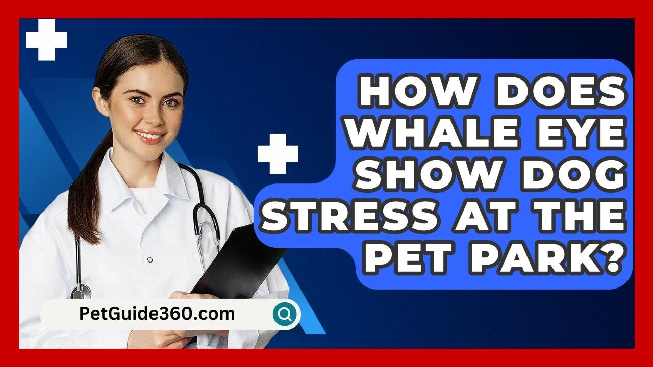 How Does Whale Eye Show Dog Stress At The Pet Park? - PetGuide360.com
