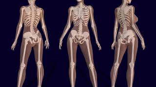 Scientists Say Theyve Discovered A New Human Organ, And It Might Be The Biggest