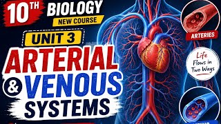 10 bio unit 3 topic arterial and venous systems #biology #viral #knowledge #audience #world