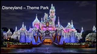 Disney mini case study