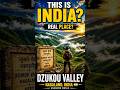 THIS IS INDIA 😳🇮🇳 Nagaland #unknownworld #dzukouvalley
