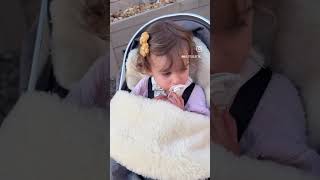 Best Footmuff for Winter | Baby Pram Liner & Sleeping Bag in One – Gooseberry Australia