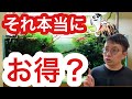【激安でも買いません】プロが熱帯魚ショップでお買い得と感じる時とは!?