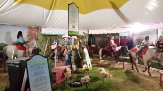 Ainah & Bullseye @ Yolo County Fair Part 2 | 08.20.2016