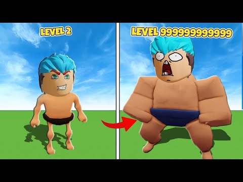 Sumo Wrestler Simulator
