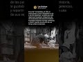 ¡Rockefeller regalaba niqueles en su cumpleaños 84! 😱 El millonario más rico y su gesto humilde 🤯