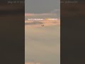 Mig-29 9-13 SM+ landing gear 🇷🇸🥰🥳 sunset. @dimer35