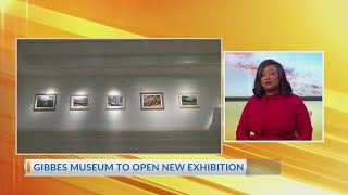 Gibbes Museum to open new exhibition