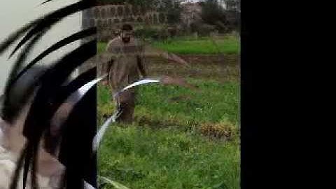 القارئ ايهاب سيد احمد مقاطع من صلاة العشاء10