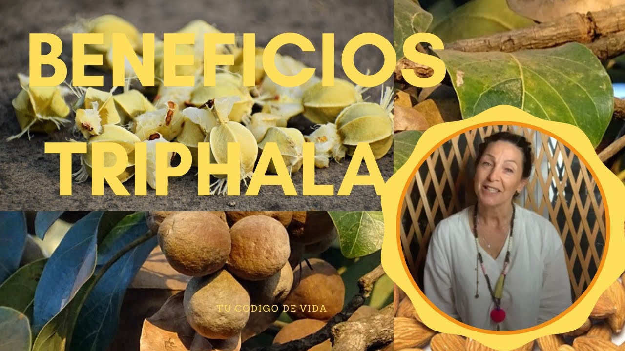 BENEFICIOS DE LA TRIPHALA AYURVEDA YouTube