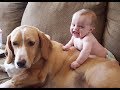 اطفال يضحكون مع كلاب Kids laugh with dogs