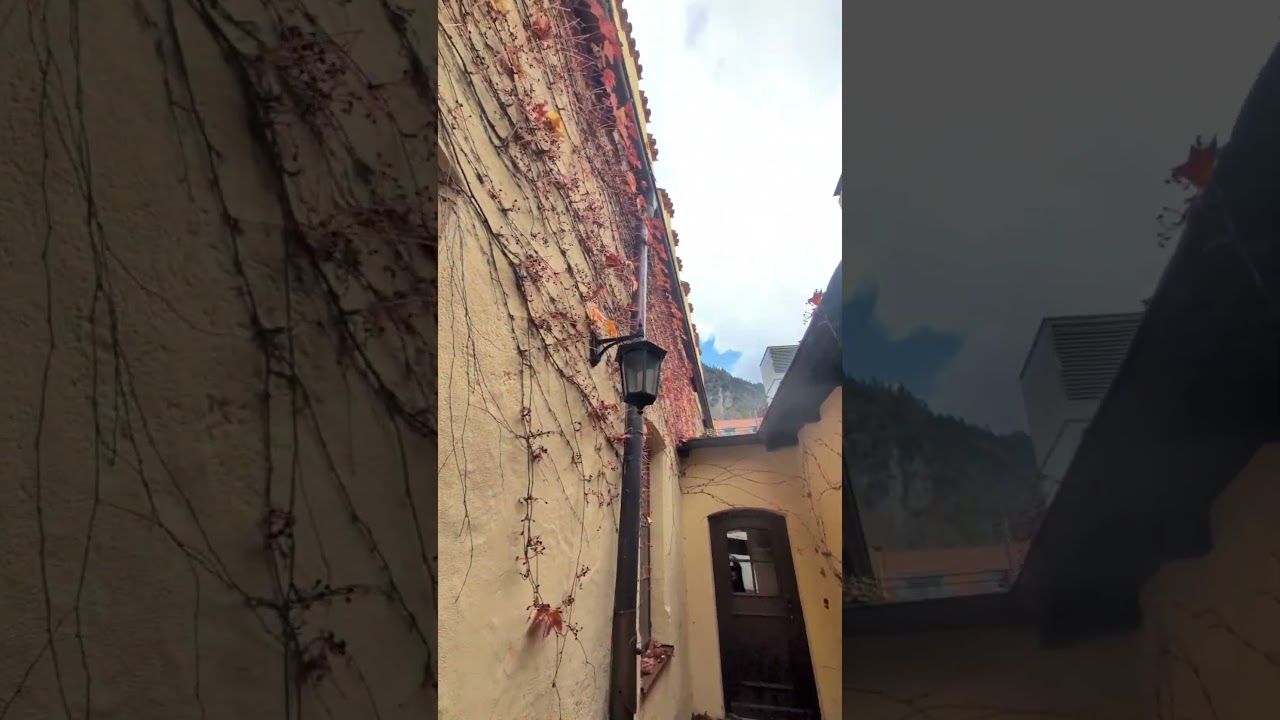 秋色 Fall Scenery at Alpsee Germany