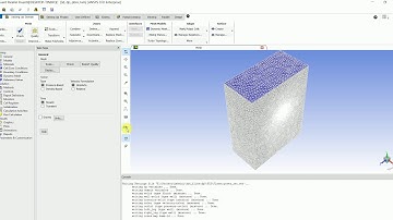 Using Reference Values