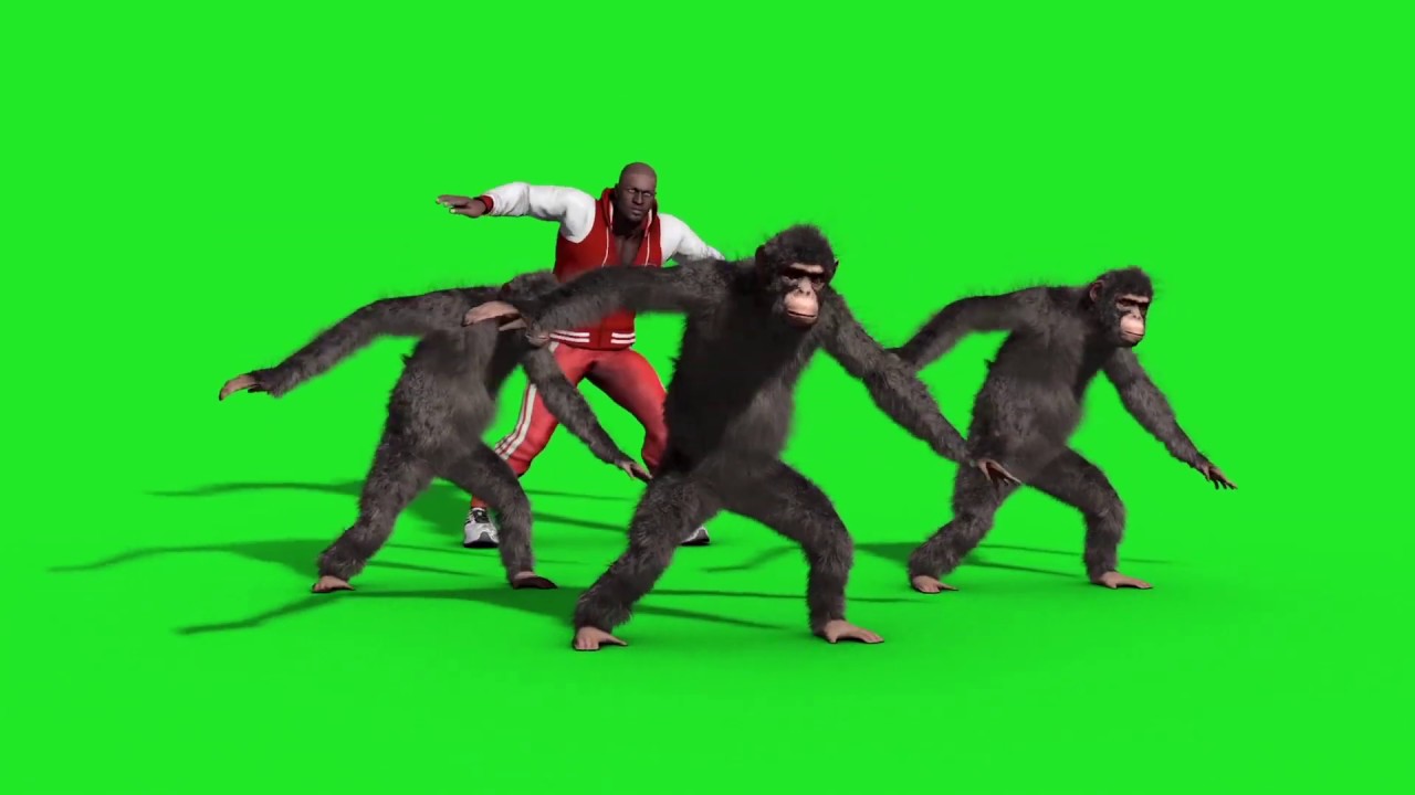 Professional AV Production Gear Sale