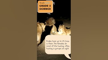 Grade 5 Science